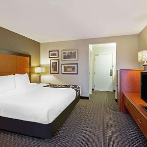 One-Bedroom King Suite